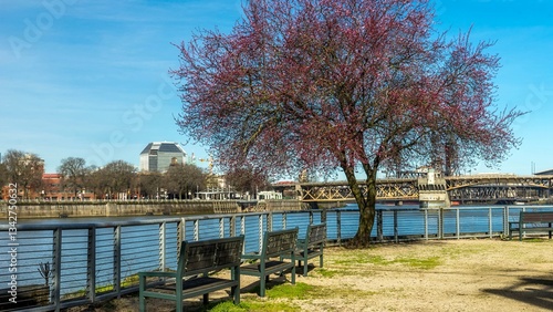 Downtown Portland City View, Oregon