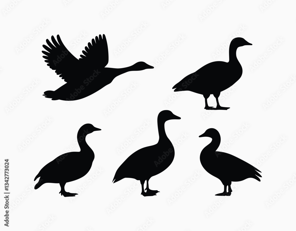 Simple Goose Silhouette Isolated Template Simple Goose Silhouette Isolated Template