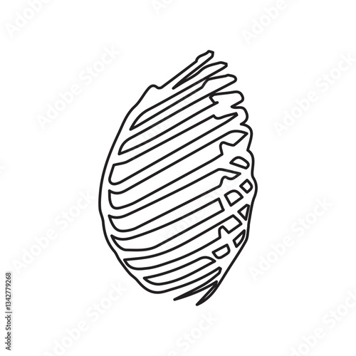 Ribcage lateral line icon