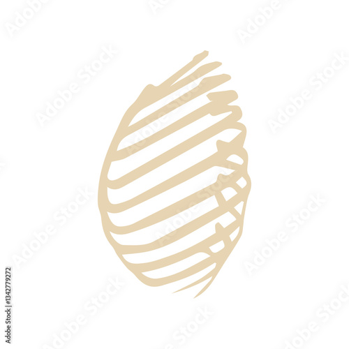 Ribcage lateral colored icon