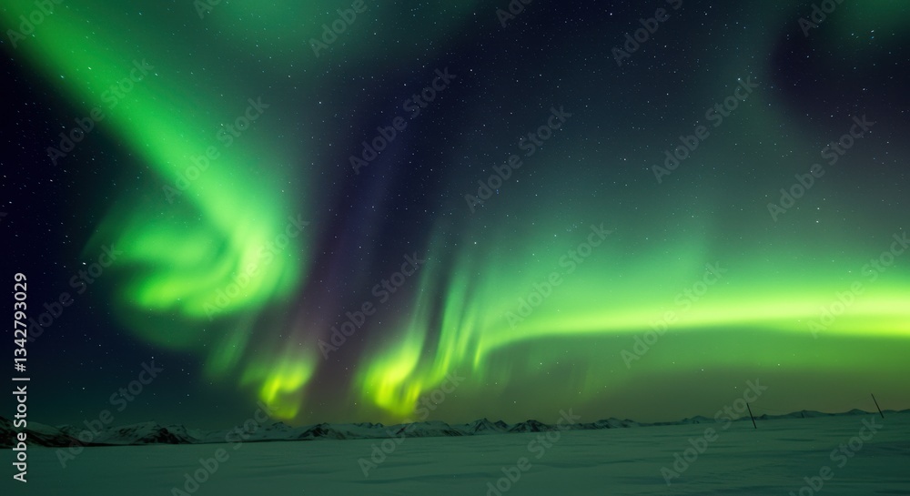 Naklejka premium Stunning aurora borealis illuminates the night sky over a snowy landscape