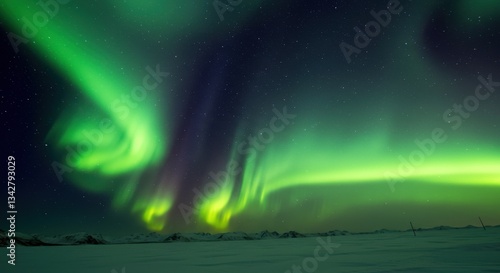 Wallpaper Mural Stunning aurora borealis illuminates the night sky over a snowy landscape Torontodigital.ca