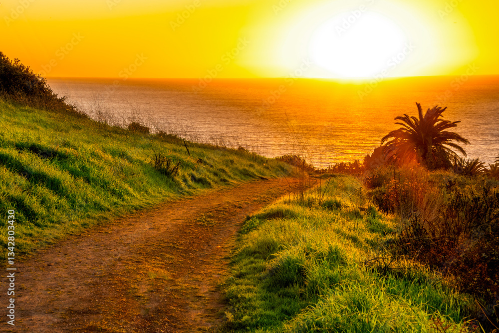 Dirt trail with rich greenery and grass reveals a full ocean view background along the coast with a dramatic colorful sky