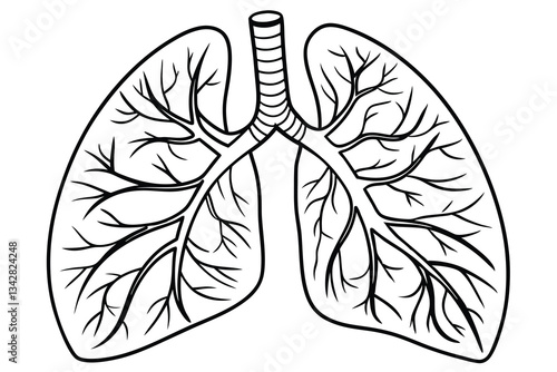 Healthy Lungs A Sleek and Artistic Vector