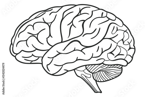 Mind in Motion Colorful Brain Silhouette Art,A bold and striking vector-style silhouette of a human brain