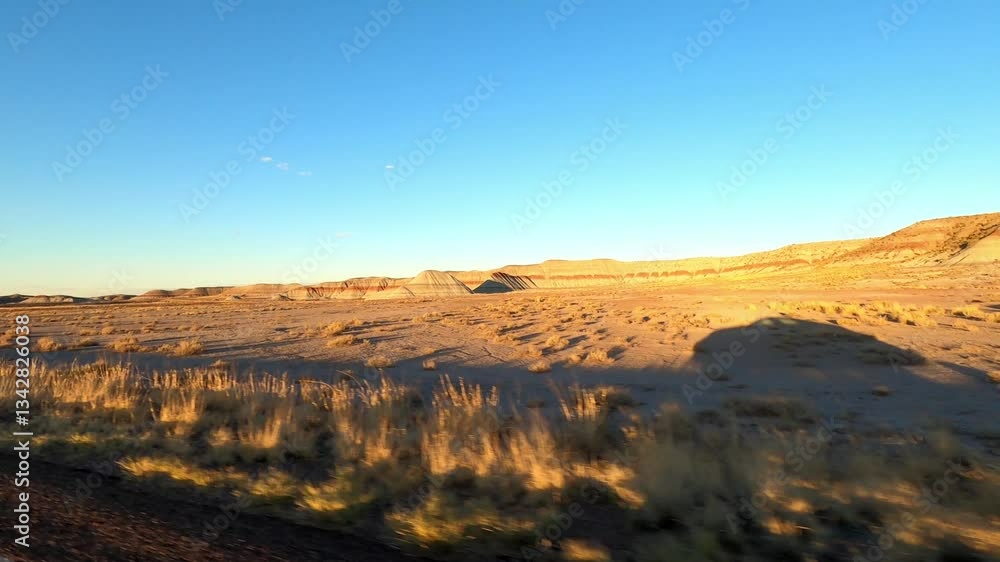 Arizona Driving 2908 Petrified Forest National Park Arizona Driving 2908 Petrified Forest National Park