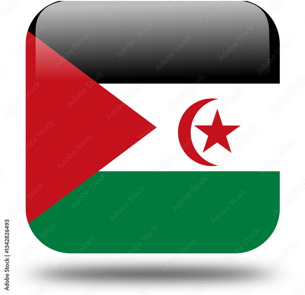 3d look flag of the sahrawi arab democratic republic 3d look flag of the sahrawi arab democratic republic