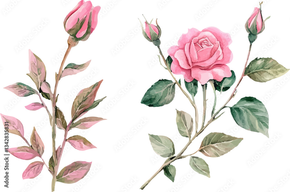 Fototapeta premium seamless pattern with pink roses
