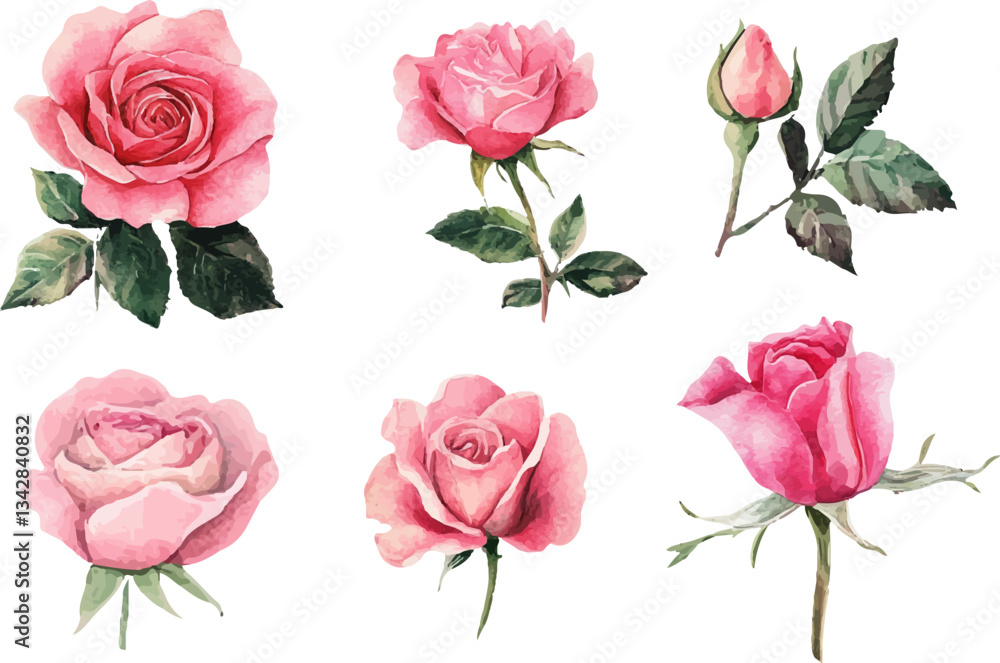 Fototapeta premium bouquet of pink roses