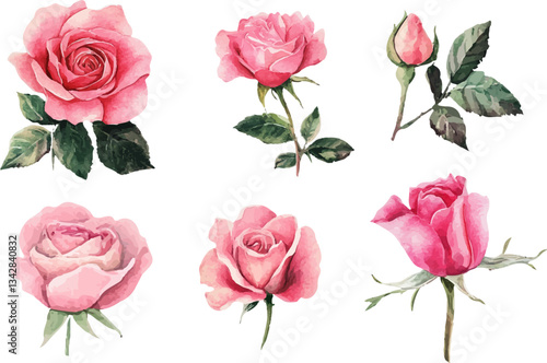 bouquet of pink roses