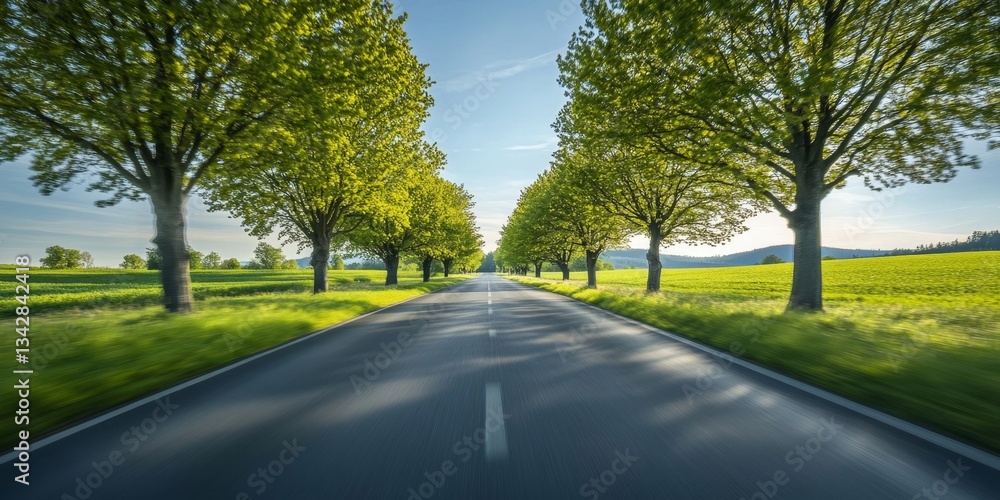 Fototapeta premium Country Road Through Lush Landscape