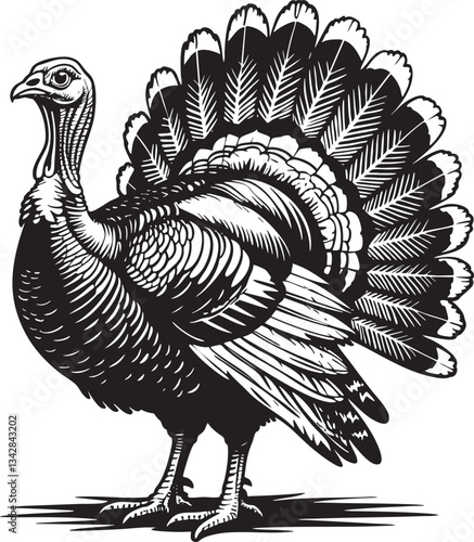 Turkey Vector Outline Black and White Thanksgiving Graphic