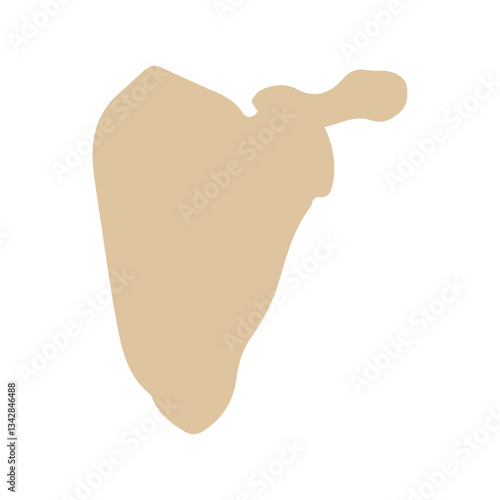 scapula posterior colored icon