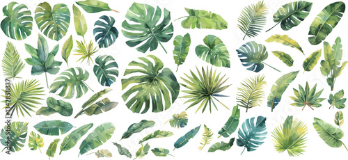 tropical leaf watercolor clipart