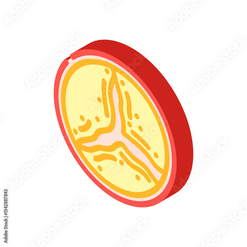 aortic stenosis cardiology disease isometric icon vector illustration