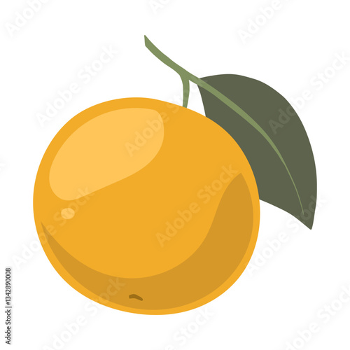 orange fruit illustration