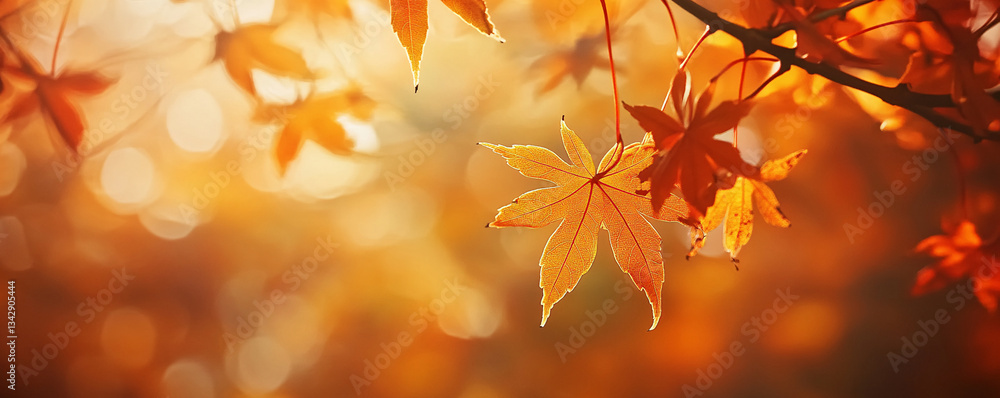 Golden glow of autumn, capturing the ethereal beauty of illuminated maple leaves Golden glow of autumn, capturing the ethereal beauty of illuminated maple leaves