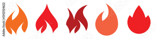 Fire burning icon. Flame fireball sign. Energy symbol. Different colors and shapes. Flat vector illustration isolated on white background.
