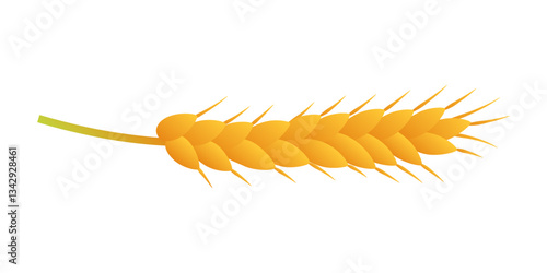 Vector illustration of wheat grain on transparent background