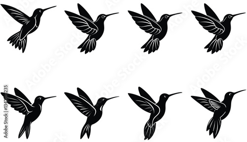 Hummingbird Icon on Flat Color Circle Buttons. Hummingbird Vector Shilhouette Bundle Set Collection.