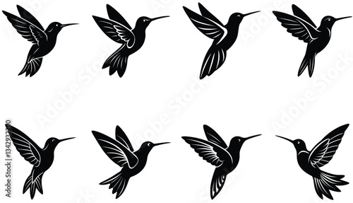 Hummingbird Icon on Flat Color Circle Buttons. Hummingbird Vector Shilhouette Bundle Set Collection.