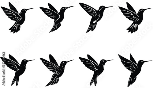 Hummingbird Icon on Flat Color Circle Buttons. Hummingbird Vector Shilhouette Bundle Set Collection.