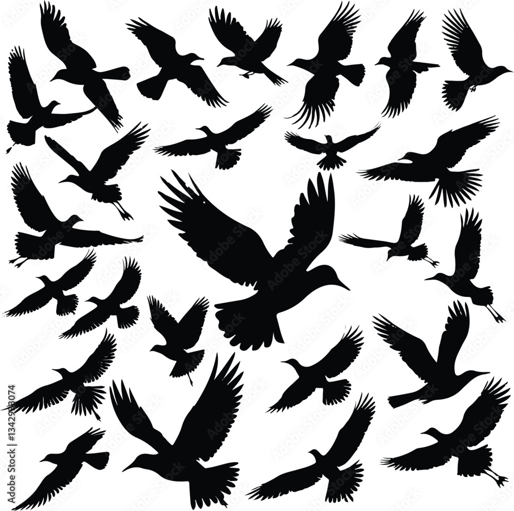 Obraz premium Customizable file of Black Silhouette of Flying Birds - Vintage Engraved Style Vector Illustration, A flock of flying birds in flight in different poses captured against a plain on white background. 