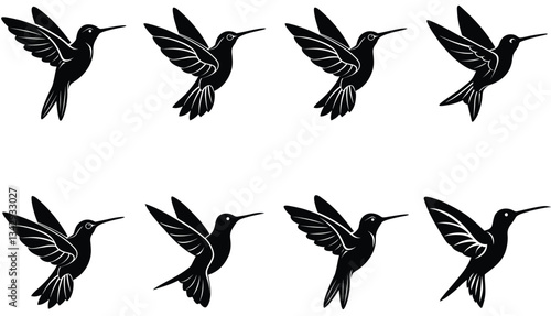 Hummingbird Icon on Flat Color Circle Buttons. Hummingbird Vector Shilhouette Bundle Set Collection.