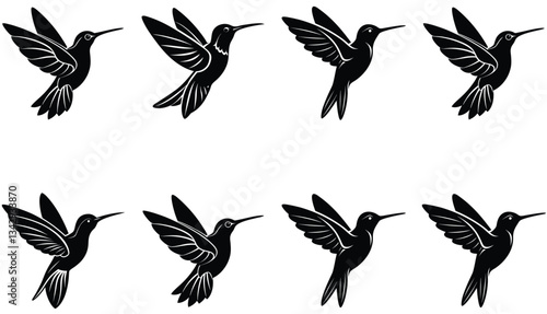 Hummingbird Icon on Flat Color Circle Buttons. Hummingbird Vector Shilhouette Bundle Set Collection.