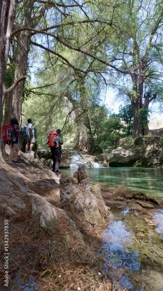 Hikers admiring waterfall in lush forest Hikers admiring waterfall in lush forest