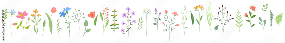 Obraz premium Spring and summer flowers, branches and leaves set, blooming garden and meadow plants for decoration. Botanical flat vector illustrations isolated on white background