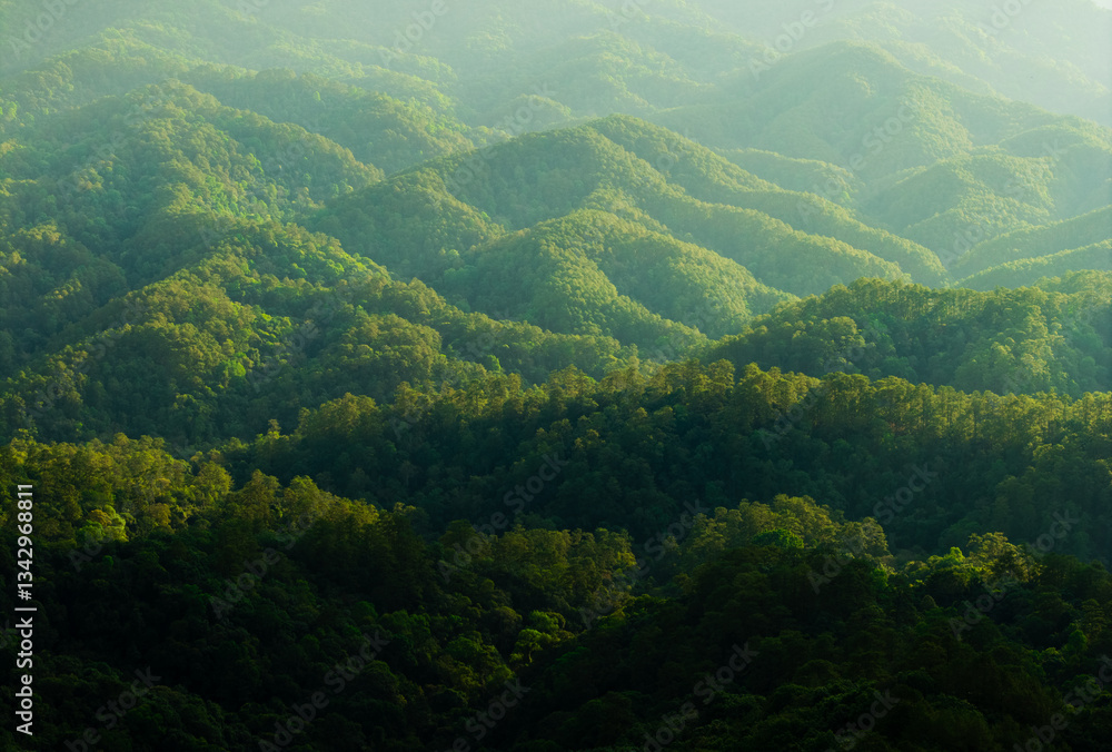 Fototapeta premium Landscape, forest and green mountains in summer in Asia