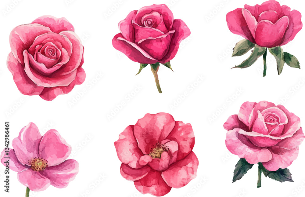 Naklejka premium Romantic Watercolor Pink Rose Flower