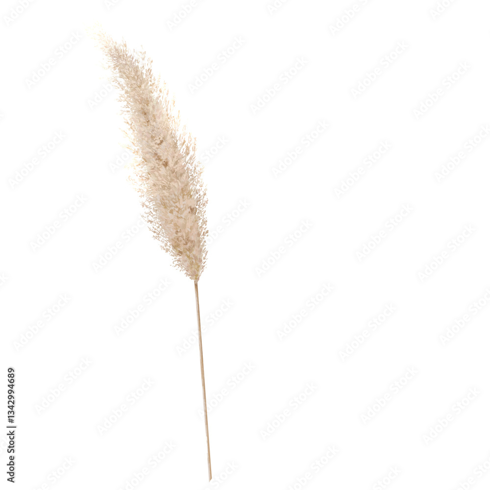 Pampa Grass Aesthetic Illustration Pampa Grass Aesthetic Illustration
