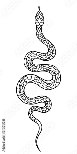 Snake Line Art Illustration. Tattoo Design and Inspiration. Vector Graphic