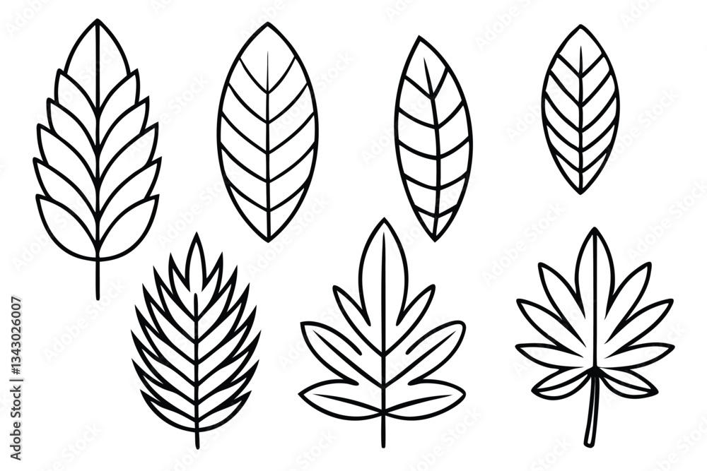 Jacaranda Leaf Line Art Illustration with Delicate Nature Design Jacaranda Leaf Line Art Illustration with Delicate Nature Design