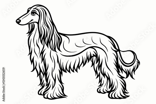 afghan hound line art silhouette vector illustration