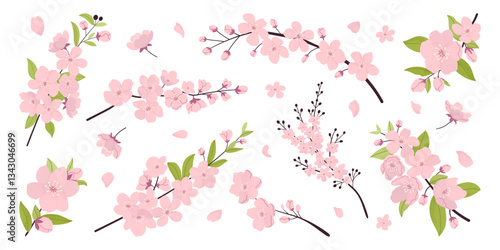 Set of isolated cherry blossom branches, leaves and petals. Flat vector illustration. Grainy texture effect. Japanese flower. Design elements for your project.