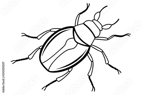 flea beetle line art silhouette vector illustration