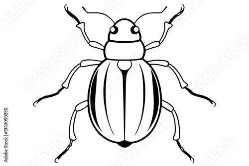 flea beetle line art silhouette vector illustration