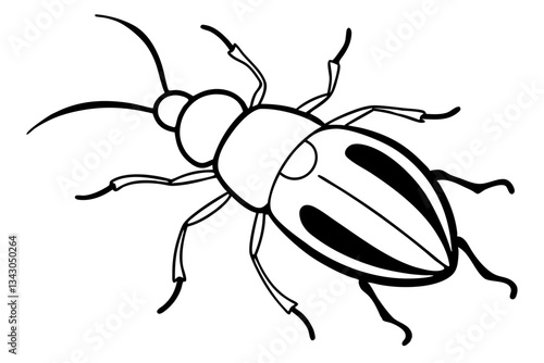 flea beetle line art silhouette vector illustration