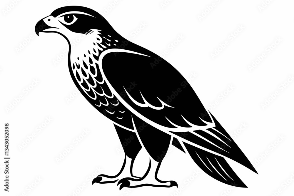 Fototapeta premium goshawk bird line art silhouette vector illustration