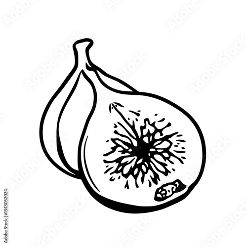 black outline vector of a fresh fig cut open showing its inner seeds