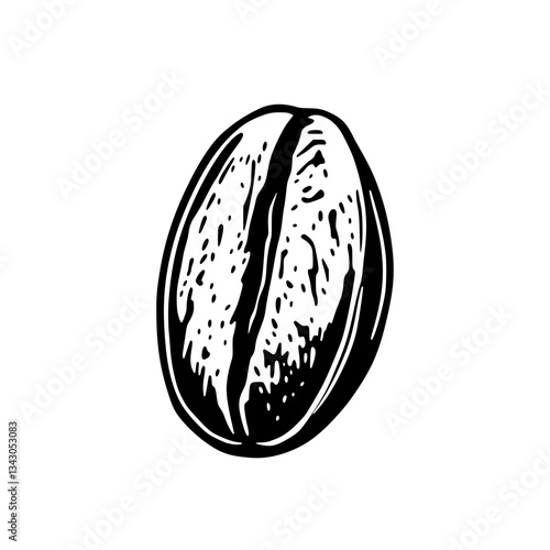 black outline vector of a roasted coffee bean with detailed texture