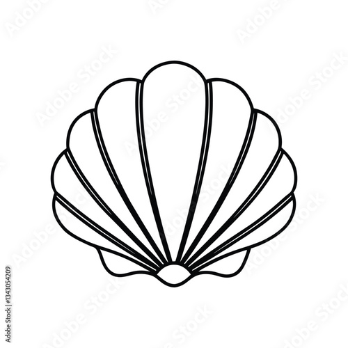 sea Jacobean scallop Shel line art vector illustration