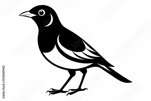 myna bird line art silhouette vector illustration