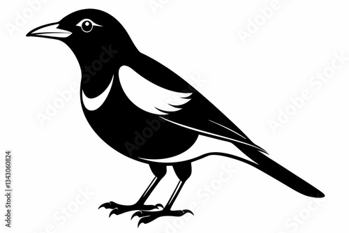 myna bird line art silhouette vector illustration
