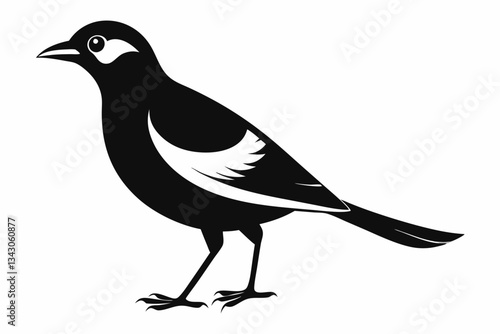myna bird line art silhouette vector illustration