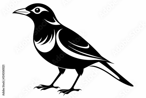 myna bird line art silhouette vector illustration