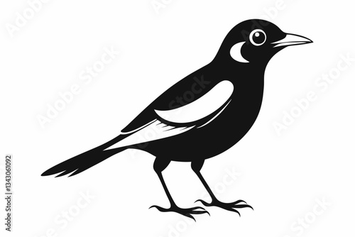myna bird line art silhouette vector illustration